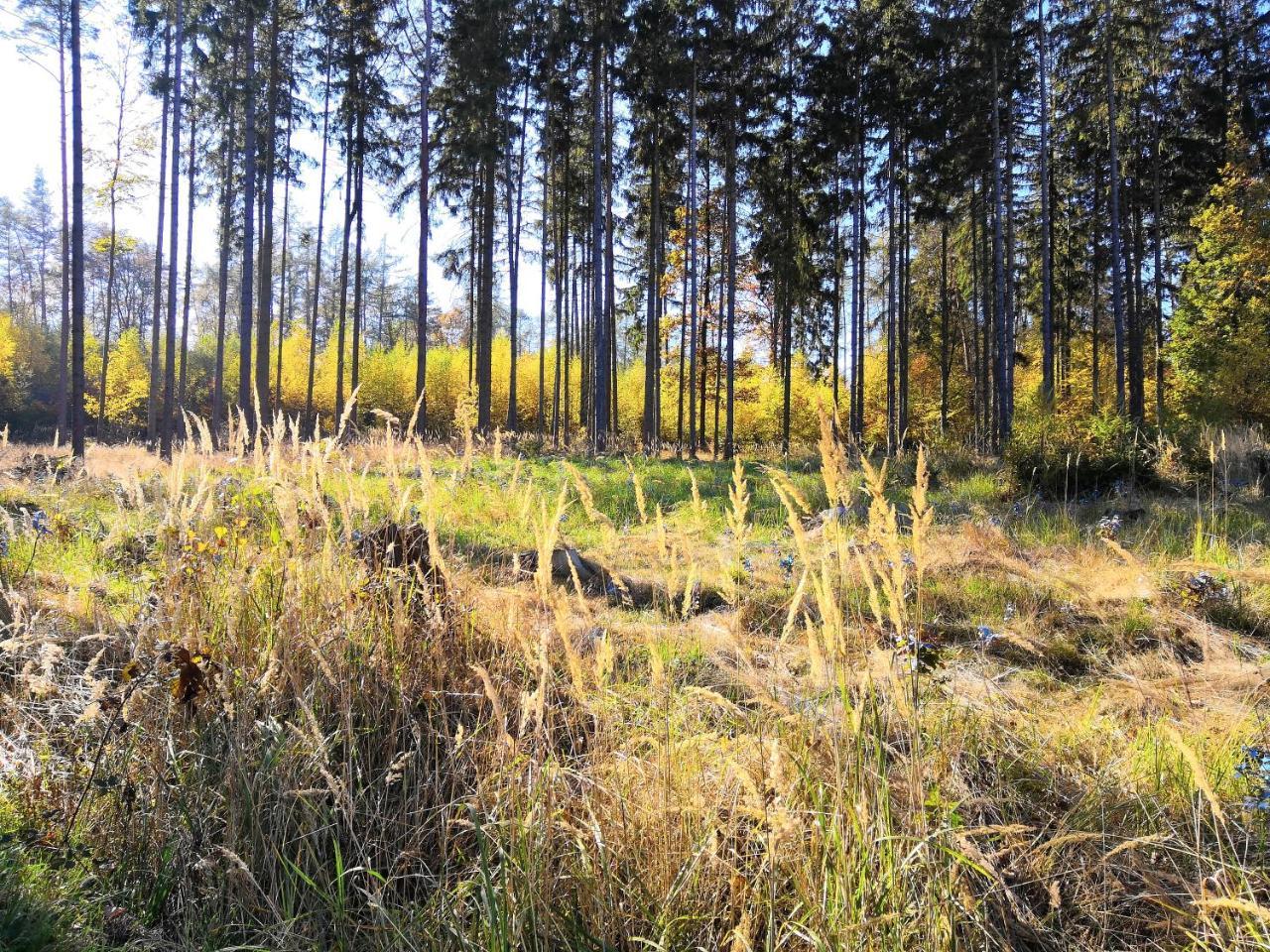 Resort Vyhlidka Slovice Hrebecniky Екстериор снимка